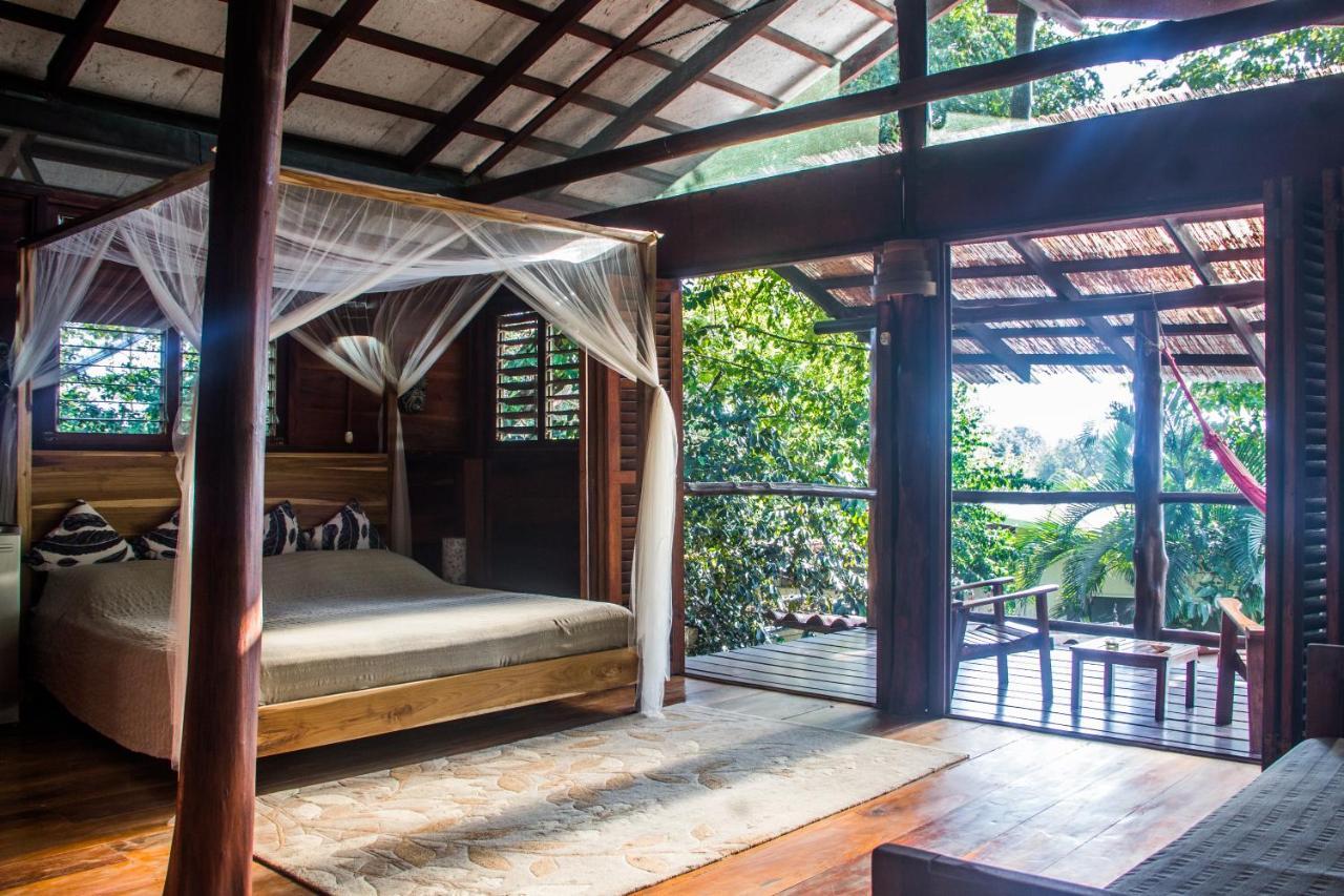 Funky Monkey Lodge Playa Santa Teresa  Eksteriør bilde