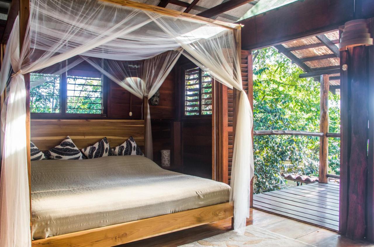 Funky Monkey Lodge Playa Santa Teresa  Eksteriør bilde