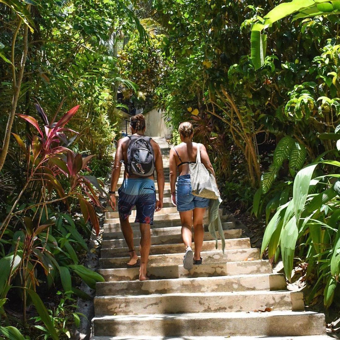 Funky Monkey Lodge Playa Santa Teresa  Eksteriør bilde