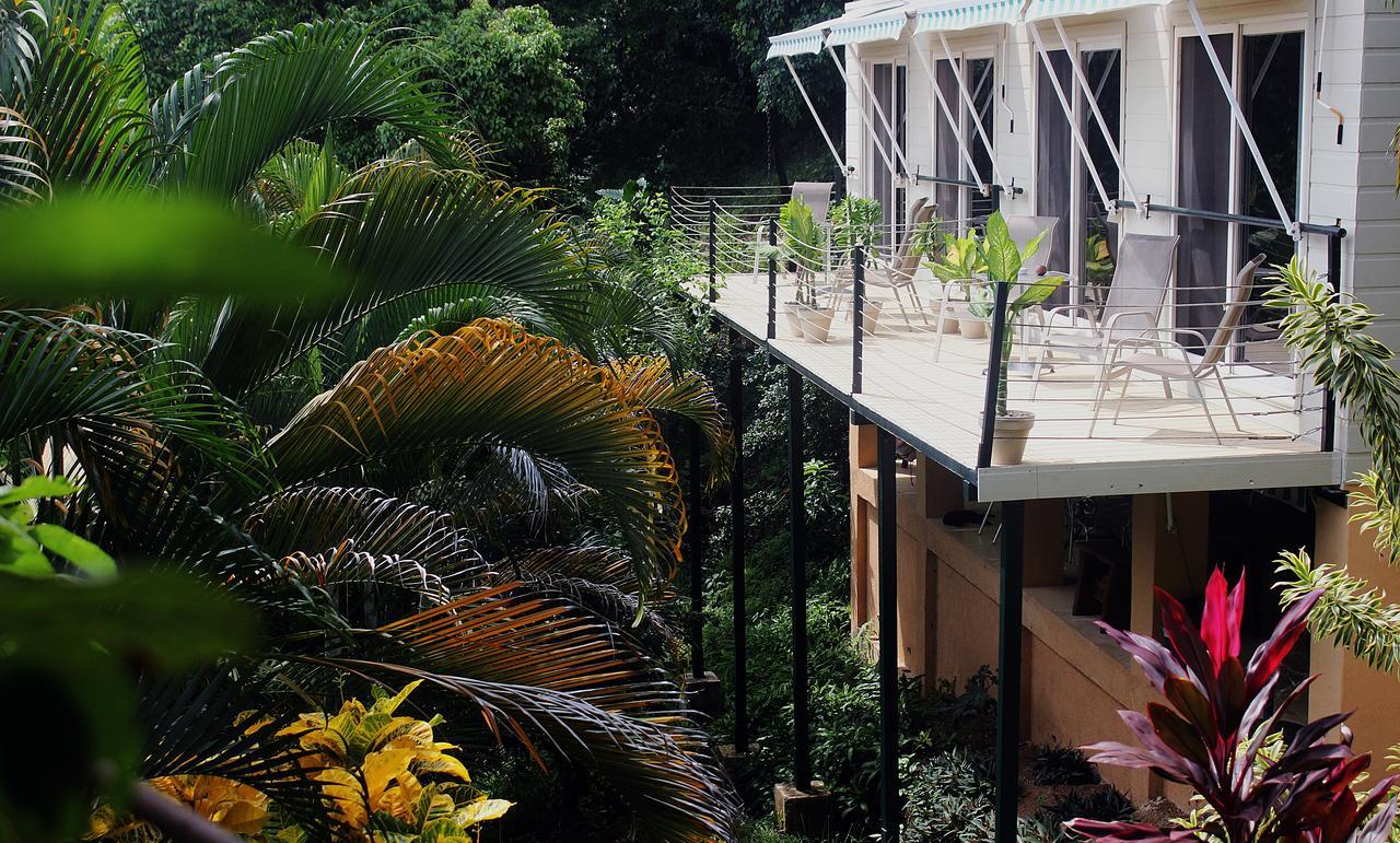 Funky Monkey Lodge Playa Santa Teresa  Eksteriør bilde