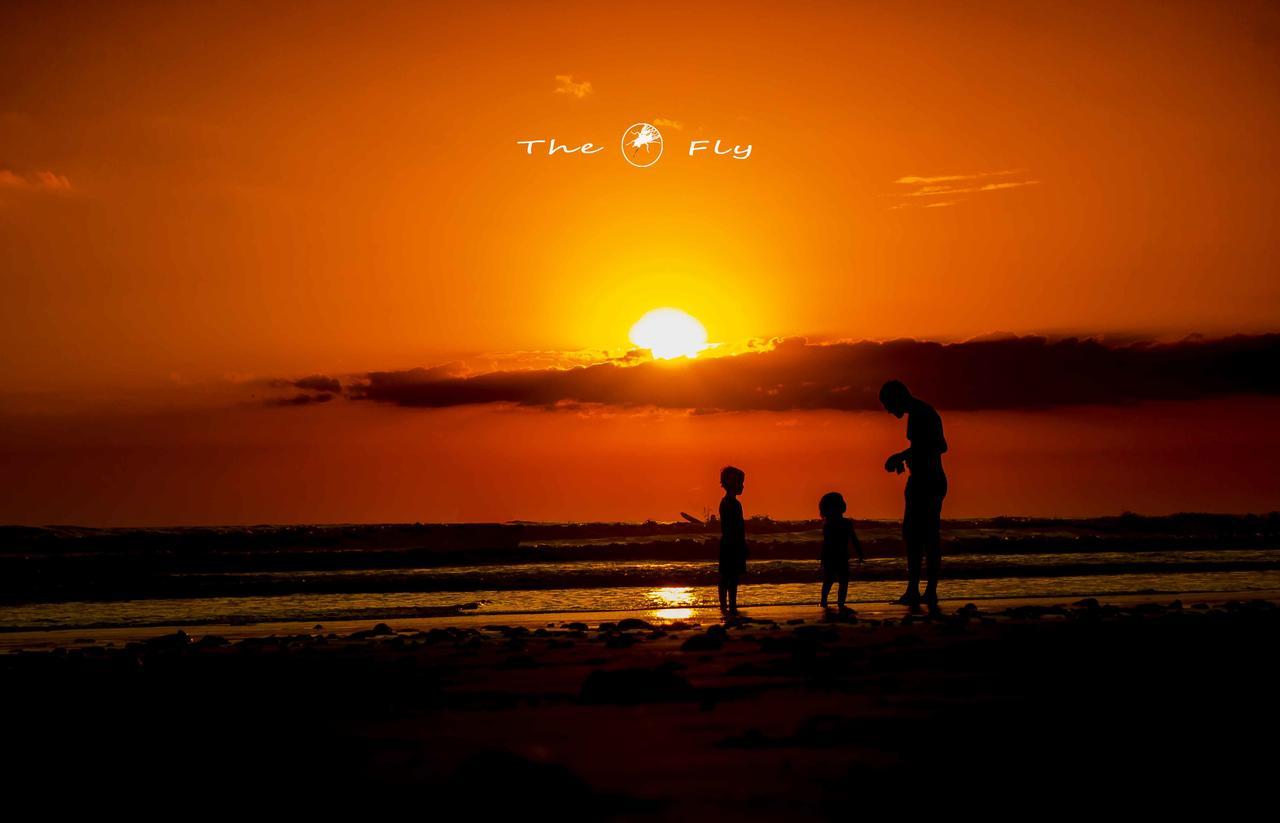 Funky Monkey Lodge Playa Santa Teresa  Eksteriør bilde