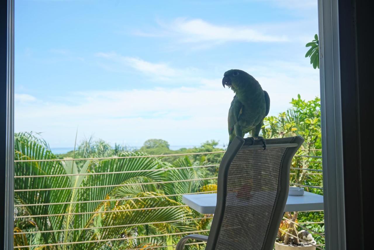 Funky Monkey Lodge Playa Santa Teresa  Eksteriør bilde