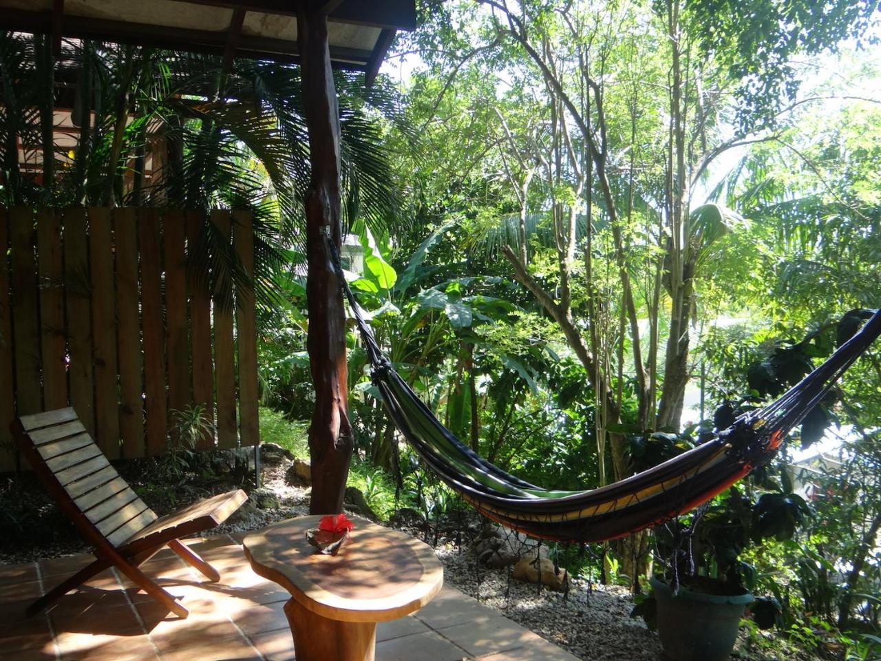 Funky Monkey Lodge Playa Santa Teresa  Eksteriør bilde